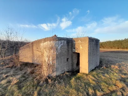 Bunker by the road loop